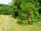 Preview of: 
ambronay04.jpg 
933 x 700 JPEG-compressed image 
(152,740 bytes)