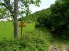 Preview of: 
ambronay06.jpg 
933 x 700 JPEG-compressed image 
(163,826 bytes)
