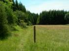 Preview of: 
ambronay08.jpg 
933 x 700 JPEG-compressed image 
(139,463 bytes)