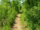 Preview of: 
balcons-bugey02.jpg 
2,592 x 1,944 JPEG-compressed image 
(1,144,817 bytes)