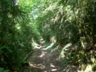 Preview of: 
balcons-bugey03.jpg 
2,592 x 1,944 JPEG-compressed image 
(1,096,967 bytes)