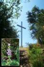 Preview of: 
balcons-bugey11.jpg 
1,168 x 1,760 JPEG-compressed image 
(646,327 bytes)