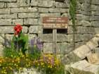 Preview of: 
belvedere-roches03.jpg 
1,000 x 750 JPEG-compressed image 
(296,582 bytes)