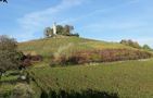 Preview of: 
best-of-cerdon3.jpg 
1,200 x 669 JPEG-compressed image 
(195,919 bytes)