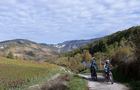 Preview of: 
best-of-cerdon4.jpg 
1,200 x 668 JPEG-compressed image 
(160,129 bytes)