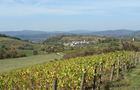 Preview of: 
best-of-cerdon5.jpg 
1,200 x 675 JPEG-compressed image 
(180,854 bytes)