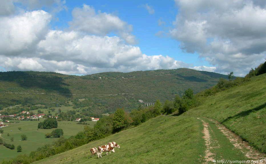 cize-gorges-ain01.jpg 
933 x 700 JPEG-compressed image 
(105,331 bytes)