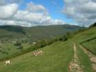 Preview of: 
cize-gorges-ain01.jpg 
933 x 700 JPEG-compressed image 
(105,331 bytes)