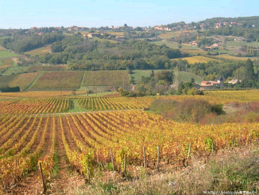 coteaux-lyonnais-beaujolais09.jpg 
933 x 700 JPEG-compressed image 
(156,411 bytes)