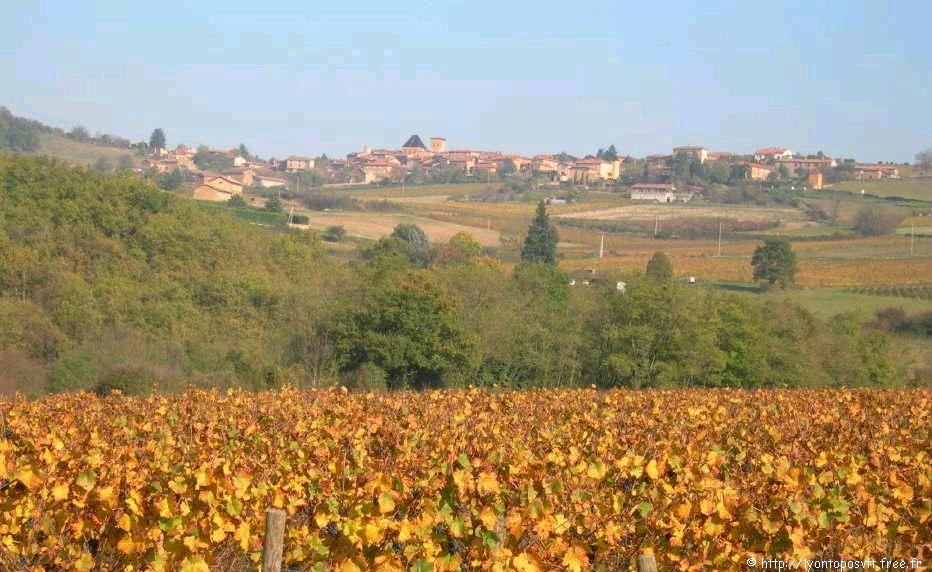 coteaux-lyonnais-beaujolais11.jpg 
933 x 700 JPEG-compressed image 
(145,582 bytes)