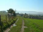 Preview of: 
coteaux-lyonnais-beaujolais02.jpg 
933 x 700 JPEG-compressed image 
(105,793 bytes)