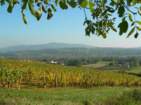 Preview of: 
coteaux-lyonnais-beaujolais07.jpg 
933 x 700 JPEG-compressed image 
(139,130 bytes)