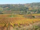 Preview of: 
coteaux-lyonnais-beaujolais09.jpg 
933 x 700 JPEG-compressed image 
(156,411 bytes)
