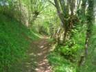 Preview of: 
cremieu36.jpg 
1,000 x 750 JPEG-compressed image 
(297,097 bytes)