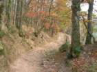 Preview of: 
cret-poipe03.jpg 
933 x 700 JPEG-compressed image 
(226,786 bytes)