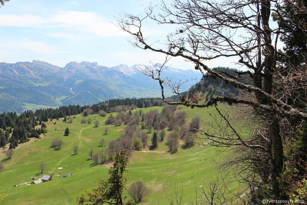 cretes-moliere08.jpg 
1,000 x 666 JPEG-compressed image 
(264,355 bytes)
