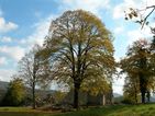 Preview of: 
eglise-stalban03.jpg 
853 x 640 JPEG-compressed image 
(183,287 bytes)