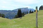 Preview of: 
hauts-plateaux07.jpg 
1,000 x 667 JPEG-compressed image 
(193,175 bytes)