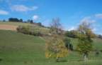 Preview of: 
mornant308.jpg 
1,712 x 1,082 JPEG-compressed image 
(245,027 bytes)