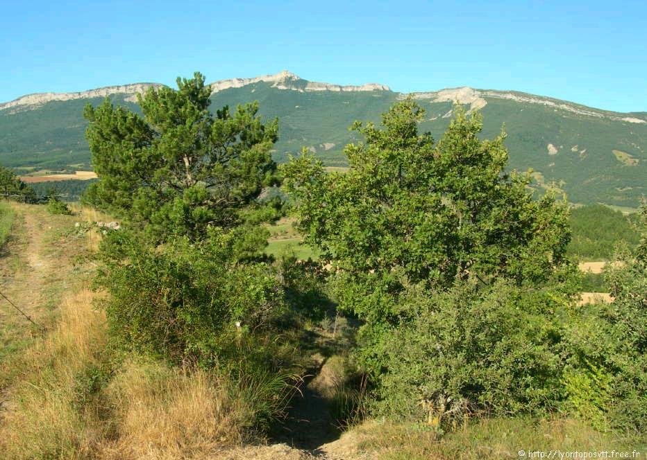 pas-louve03.jpg 
933 x 700 JPEG-compressed image 
(162,452 bytes)