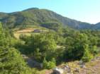 Preview of: 
pas-louve02.jpg 
933 x 700 JPEG-compressed image 
(147,867 bytes)