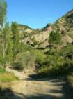 Preview of: 
pas-louve07.jpg 
525 x 700 JPEG-compressed image 
(69,409 bytes)
