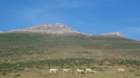 Preview of: 
pays-basque07.jpg 
1,760 x 982 JPEG-compressed image 
(193,725 bytes)
