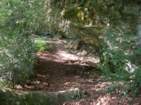 Preview of: 
tour-plateau-cremieu05.jpg 
1,000 x 750 JPEG-compressed image 
(286,058 bytes)