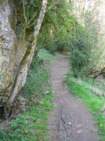 Preview of: 
revermont05.jpg 
487 x 650 JPEG-compressed image 
(517,564 bytes)