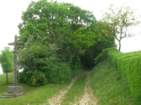 Preview of: 
revermont07.jpg 
866 x 650 JPEG-compressed image 
(741,023 bytes)