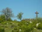Preview of: 
revermont12.jpg 
866 x 650 JPEG-compressed image 
(689,802 bytes)