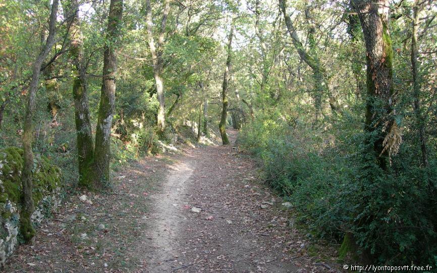 rochecardon-mt-cindre5.jpg 
866 x 650 JPEG-compressed image 
(919,520 bytes)