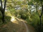 Preview of: 
rochecardon-mt-cindre4.jpg 
866 x 650 JPEG-compressed image 
(934,374 bytes)
