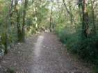 Preview of: 
rochecardon-mt-cindre5.jpg 
866 x 650 JPEG-compressed image 
(919,520 bytes)