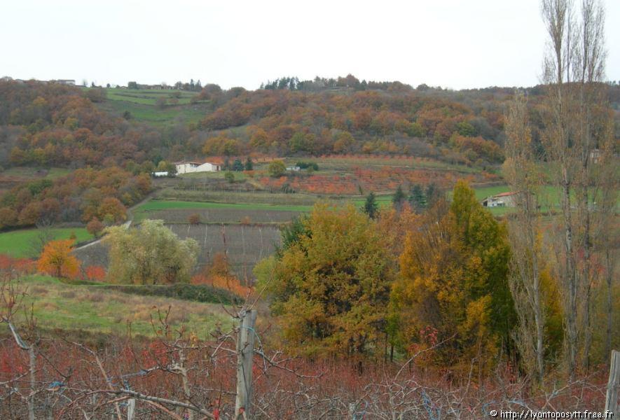 rontalon-standre210.jpg 
1,000 x 750 JPEG-compressed image 
(244,911 bytes)