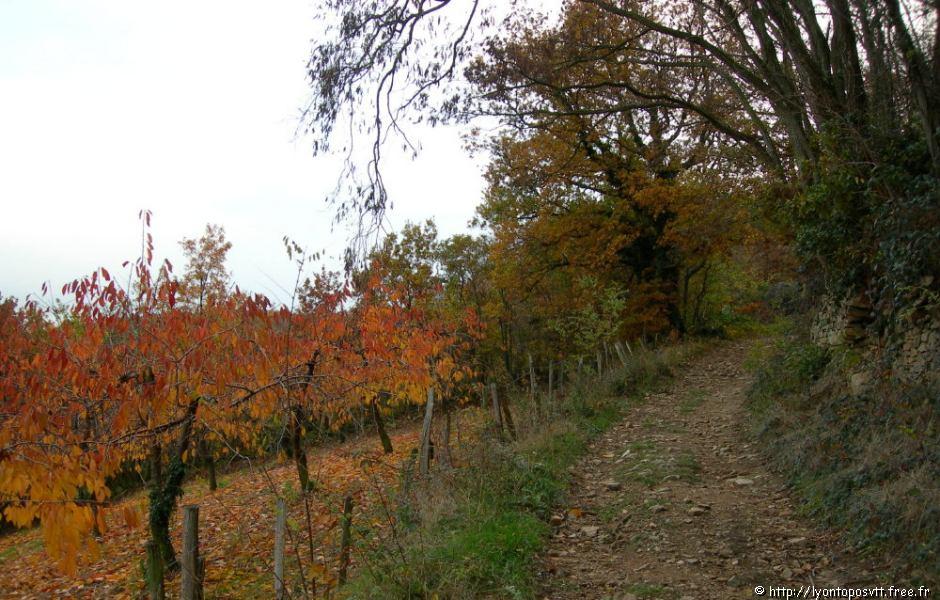 rontalon-standre212.jpg 
1,000 x 750 JPEG-compressed image 
(303,687 bytes)