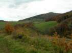 Preview of: 
rontalon-standre201.jpg 
1,000 x 750 JPEG-compressed image 
(207,979 bytes)