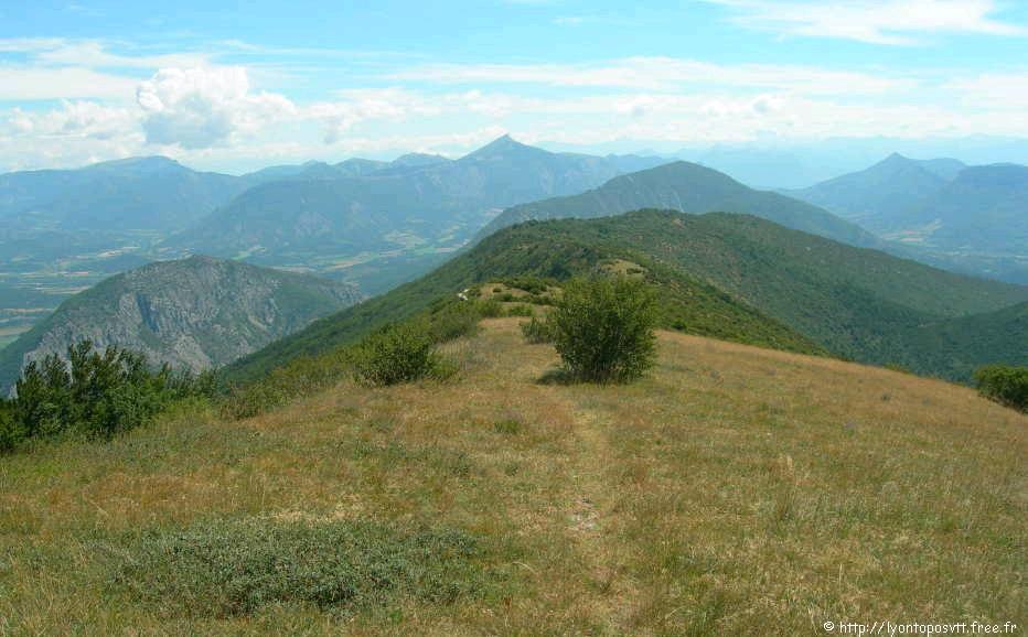 serre-bouisse07.jpg 
933 x 700 JPEG-compressed image 
(116,802 bytes)
