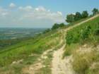 Preview of: 
serrieres-luizet05.jpg 
933 x 700 JPEG-compressed image 
(131,397 bytes)