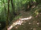 Preview of: 
serrieres-luizet07.jpg 
933 x 700 JPEG-compressed image 
(172,212 bytes)
