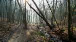 Preview of: 
taluyers07.jpg 
800 x 449 JPEG-compressed image 
(103,327 bytes)