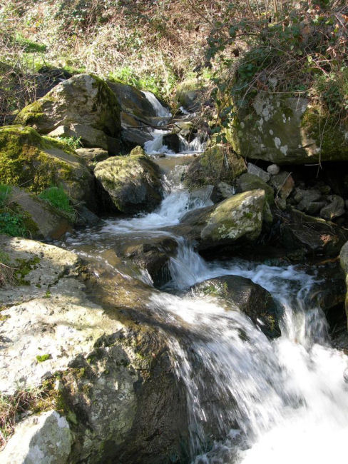 thurins-barmont02.jpg 
700 x 933 JPEG-compressed image 
(215,000 bytes)