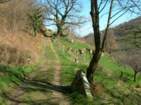 Preview of: 
thurins-barmont04.jpg 
933 x 700 JPEG-compressed image 
(229,471 bytes)