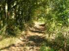 Preview of: 
thurins-barmont14.jpg 
933 x 700 JPEG-compressed image 
(266,332 bytes)