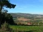 Preview of: 
thurins-barmont15.jpg 
933 x 700 JPEG-compressed image 
(143,105 bytes)