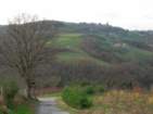 Preview of: 
thurins-rochefort02.jpg 
1,000 x 750 JPEG-compressed image 
(193,731 bytes)