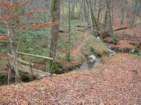 Preview of: 
thurins-rochefort03.jpg 
1,000 x 750 JPEG-compressed image 
(380,325 bytes)