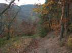 Preview of: 
thurins-rochefort13.jpg 
1,000 x 750 JPEG-compressed image 
(313,889 bytes)