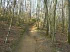 Preview of: 
thurins-signal3.jpg 
1,000 x 750 JPEG-compressed image 
(280,479 bytes)