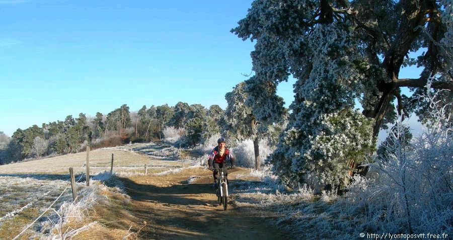 tour-bosencons05.jpg 
900 x 430 JPEG-compressed image 
(80,213 bytes)